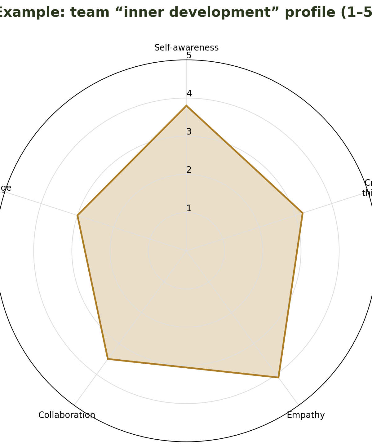 Radar chart showing an example team inner development profile across five capacities