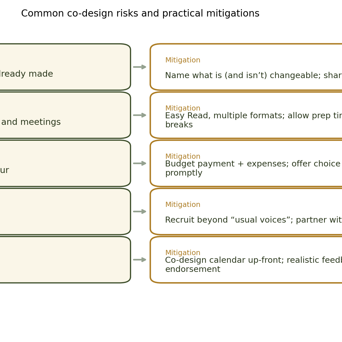 Diagram mapping common co-design risks to practical mitigations like accessible materials and paying lived experience.