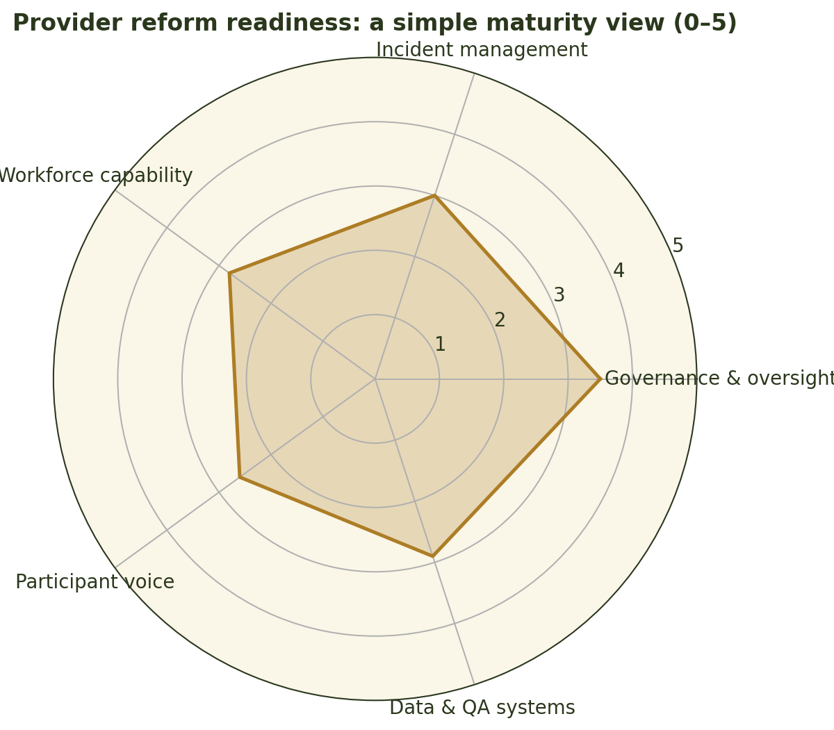 Radar chart showing provider reform readiness maturity across governance, incident management, workforce capability, participant voice, and data systems